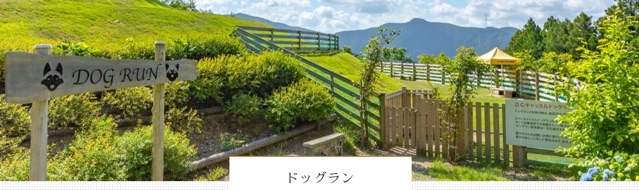 ドッグランの写真(静岡県浜松市天竜区)