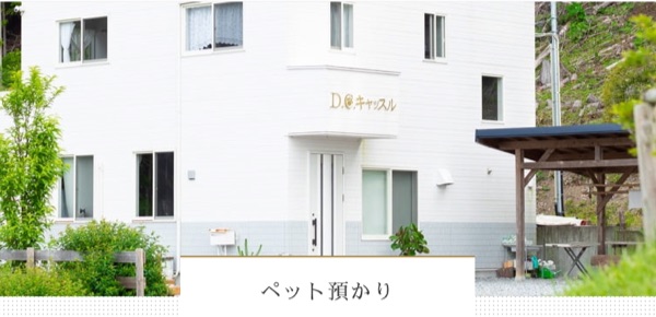 D.C.キャッスル 本社事務局