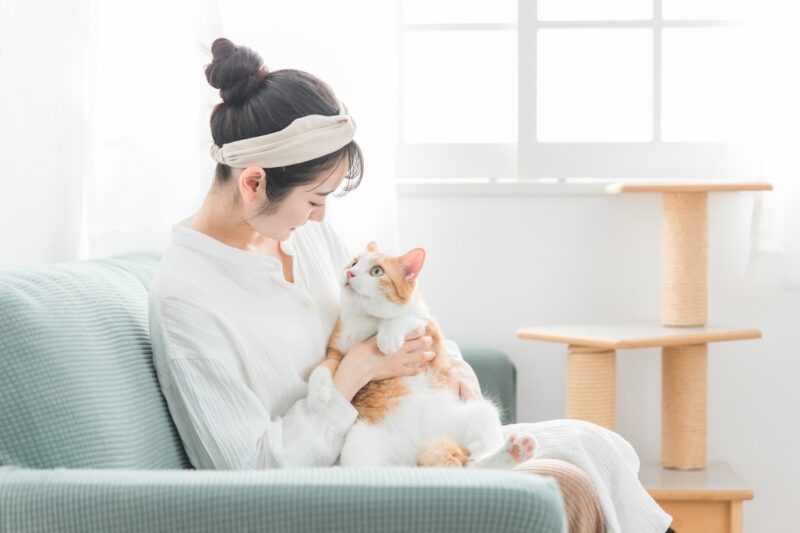 春に増える猫の毛球症と対策