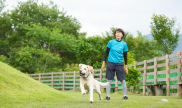 長期で犬を預けるとストレスになる？安心して過ごしてもらうために大切にしていること