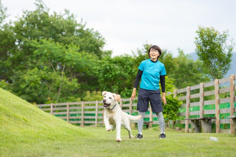 大型犬の長期預かり施設の画像