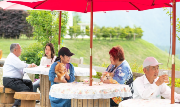 旅行や出張の時、愛犬・愛猫をどうする？浜松市で考えるペットホテルという選択肢