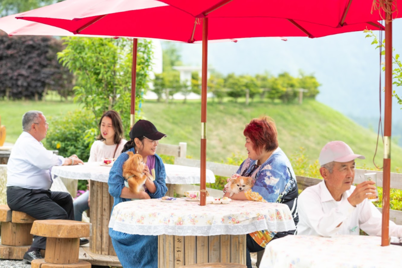 旅行や出張の時、愛犬・愛猫をどうする?浜松市で考えるペットホテルという選択肢