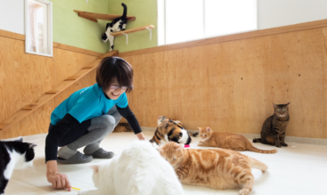 飼い主が突然入院したらペットはどうする？今から考えておきたい預け先のこと