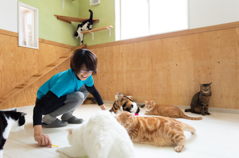 飼い主が突然入院したらペットはどうする？今から考えておきたい預け先のこと