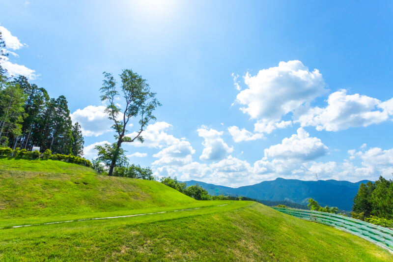 暮らしが変わっても、ずっと家族