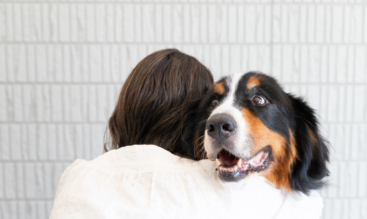 愛犬・愛猫が高齢になったら？シニア期の暮らしと長期療養ケアを考える